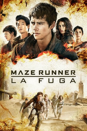 Maze Runner – La fuga (2015)