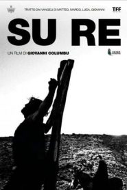 Su Re (2013)