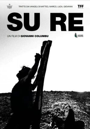 Su Re (2013)