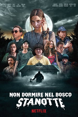 Non dormire nel bosco stanotte (2020)