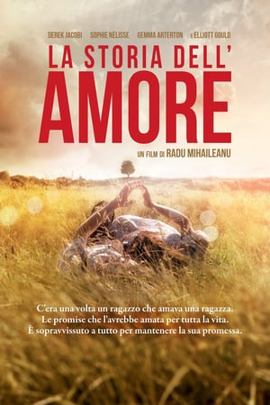 La storia dell’amore (2016)